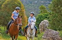 Fordsdale Horseback Adventures 